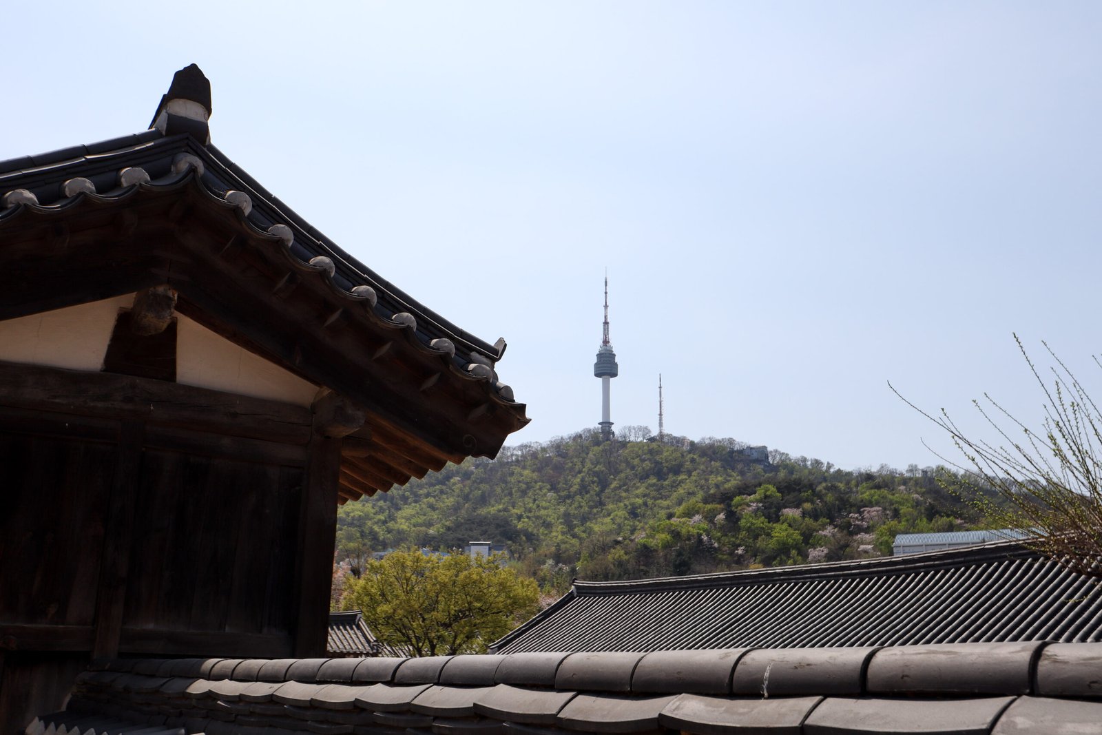 남산골한옥마을에서 보이는 실제 남산 풍경