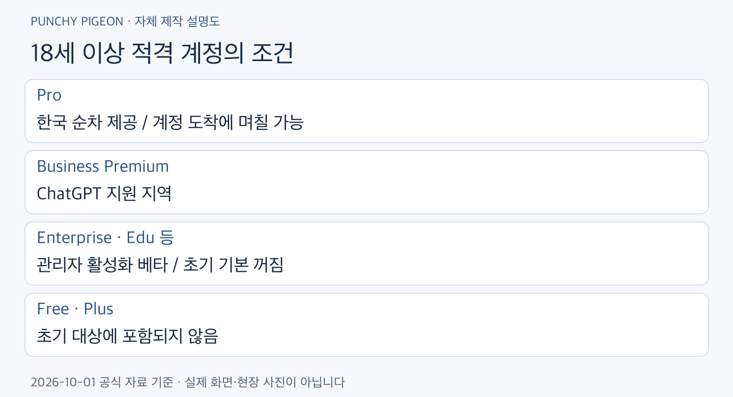 ChatGPT dots 18세 이상 적격 계정의 조건
