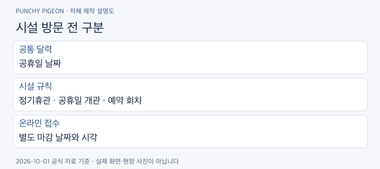 개천절 대체공휴일 시설 방문 전 구분